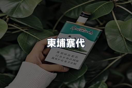 越南香烟系列